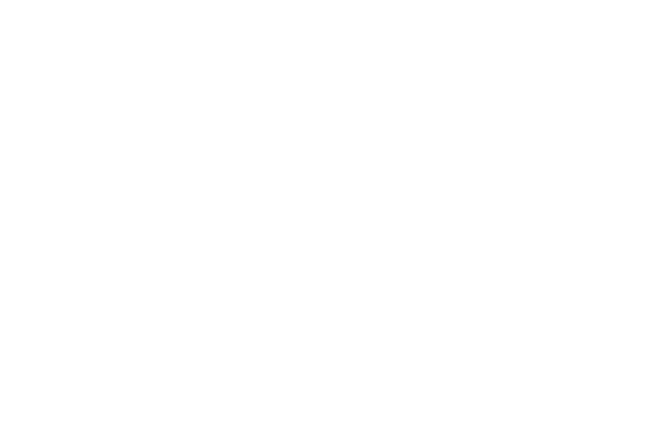 adidasw