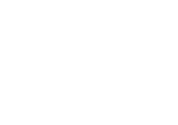 dondi